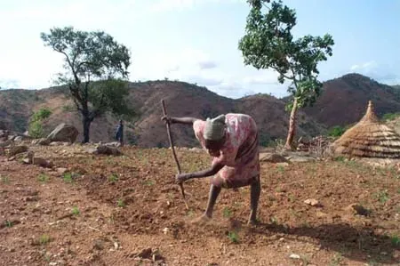 #12 - The Digging Stick That Outworks a Garden Trowel (USAID, Public domain)