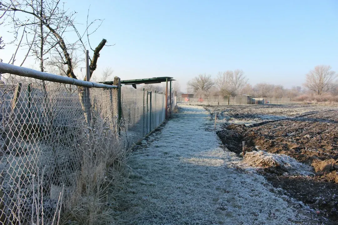 #10 Inside Corners of Fences and Walls (Image Credits: Unsplash)