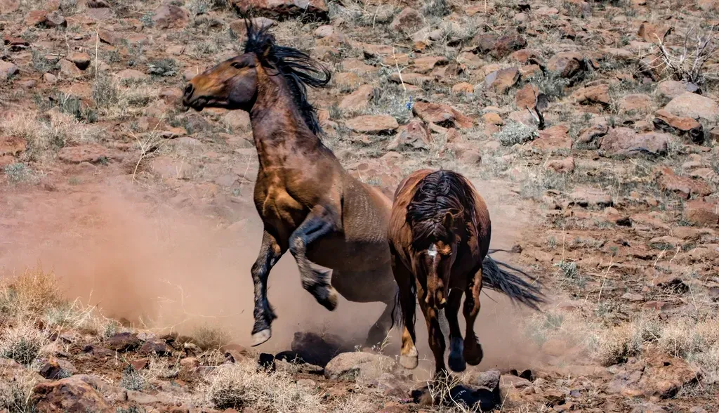 Sagittarius: The Wild Mustang (Image Credits: Rawpixel)