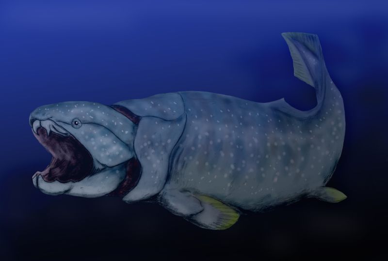 Capricorn (December 22 - January 19): Dunkleosteus (Image Credits: Wikimedia)