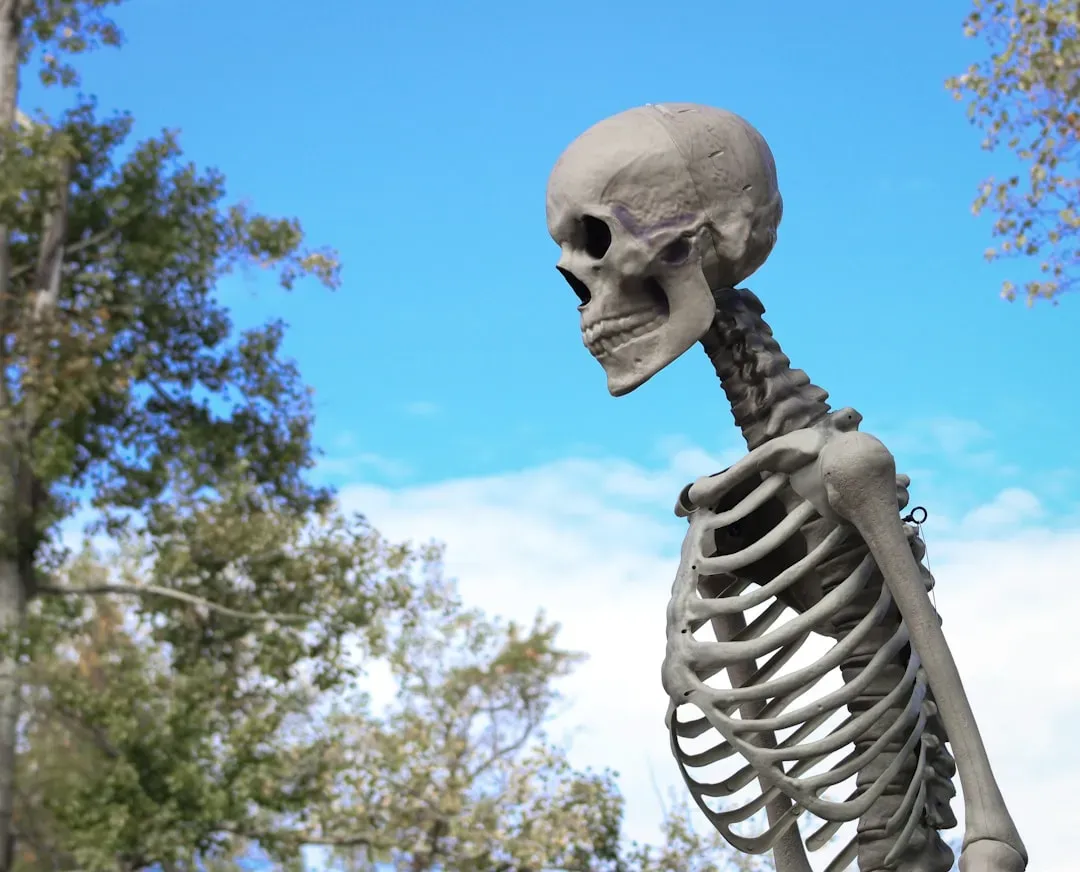 Photoshop, Fake Skeleton Photos, and Viral Internet “Giants” (Image Credits: Unsplash)