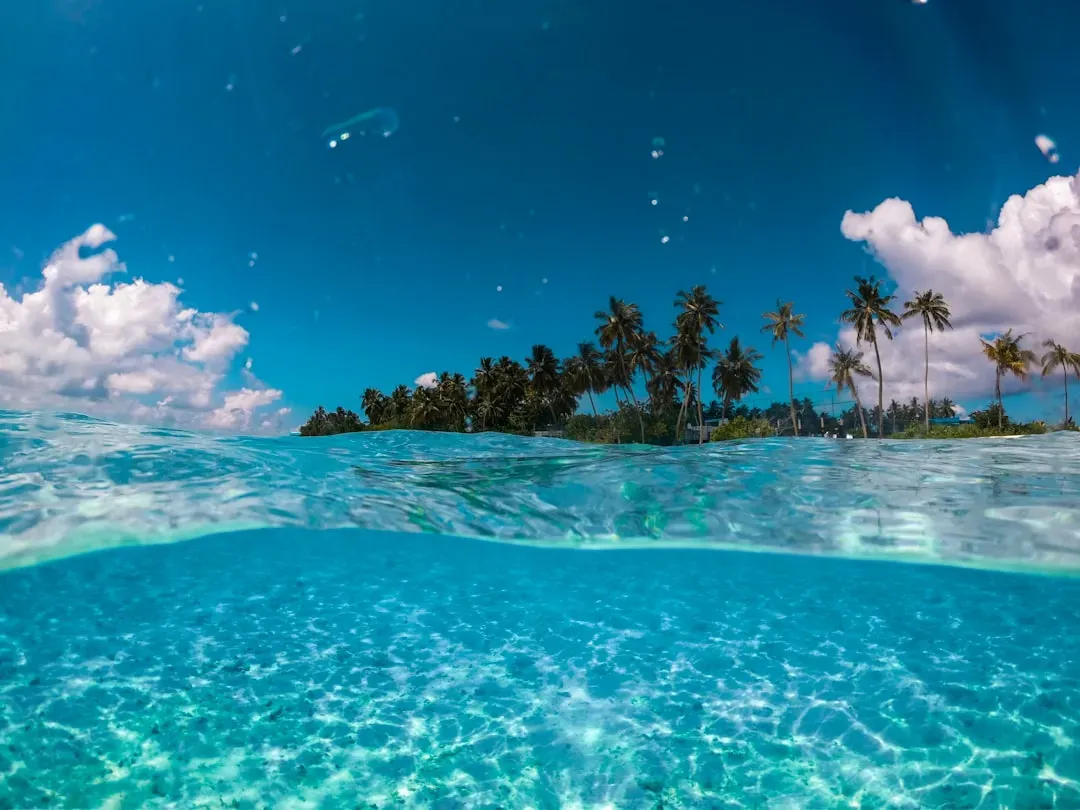 Global cooling and shrinking tropical “safe zones” (Image Credits: Unsplash)