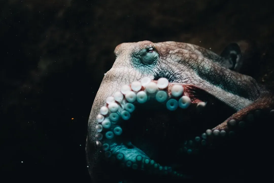 #13 - A Sleep Cycle That Looks Uncomfortably Human (Image Credits: Unsplash)