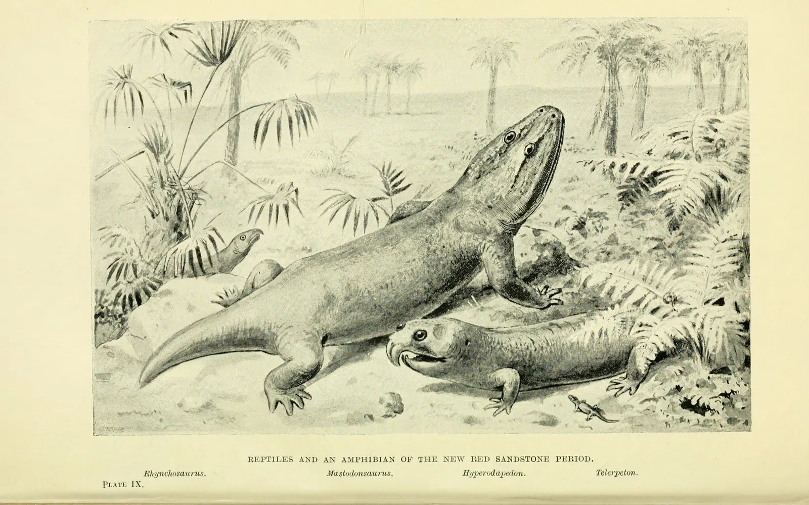 Conclusion (Image Credits: Wikimedia)