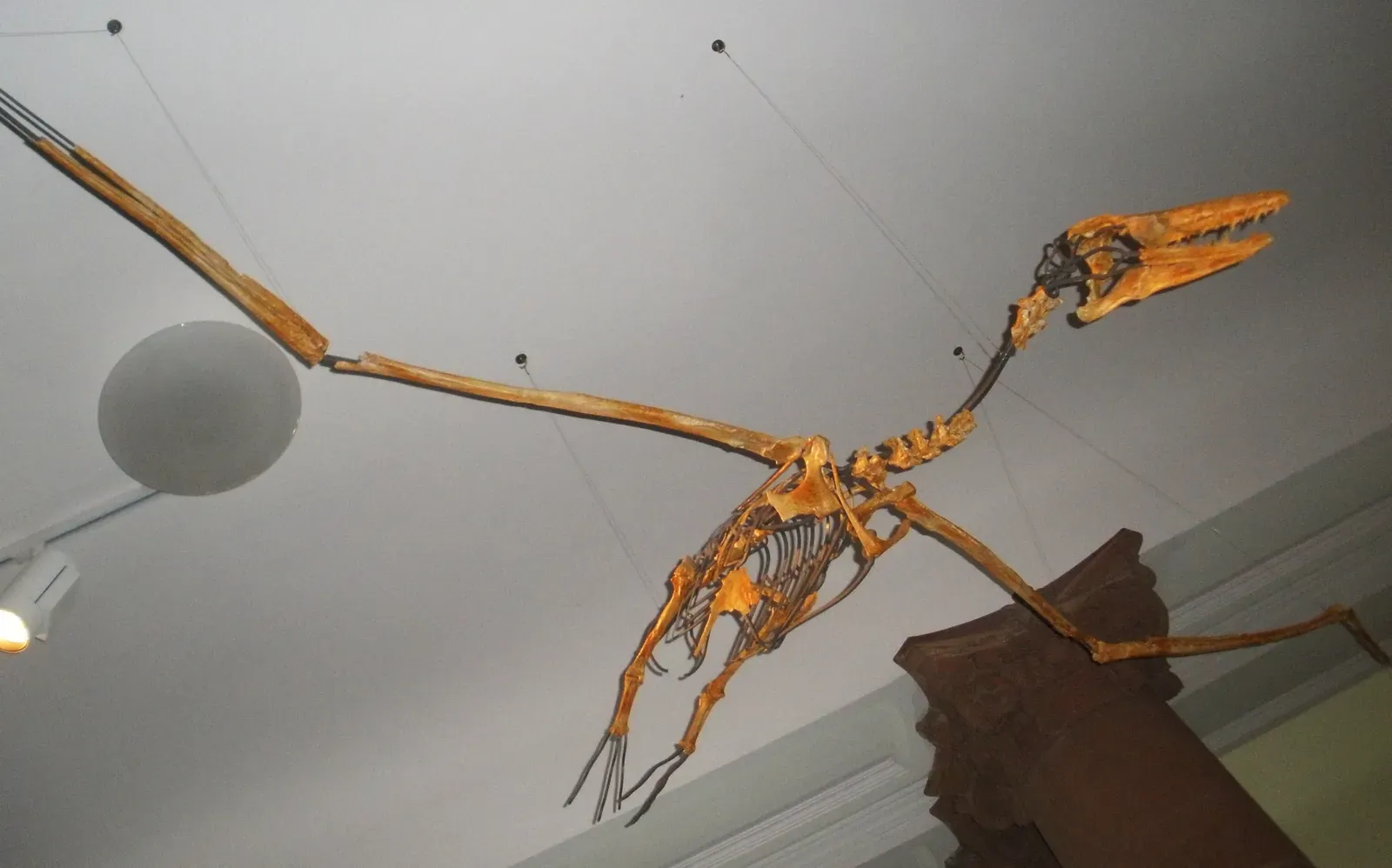 Why They Vanished Remains a Mystery (Image Credits: Wikimedia)