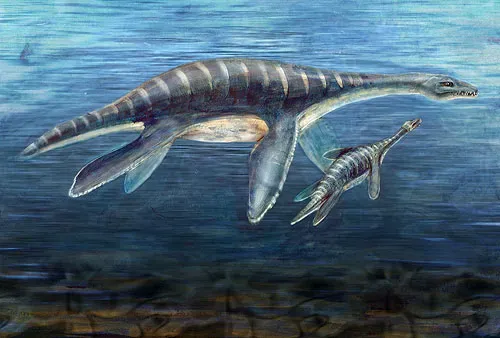 5. They Gave Birth to Live Young Instead of Laying Eggs (Mother and Juvenile Plesiosaur, Public domain)
