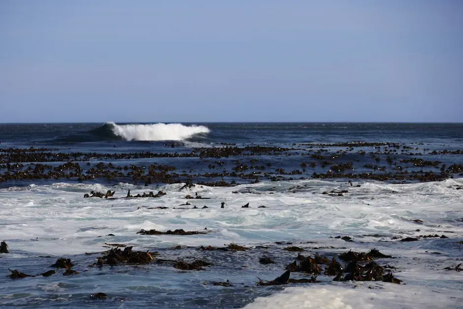 The Pacific Coastal Route: The Kelp Highway That Rewrote History (Image Credits: Pexels)