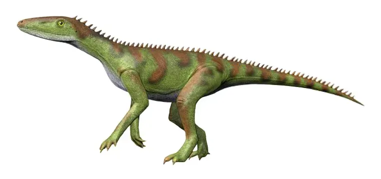 Evolution of Bipedalism for Speed (Image Credits: Wikimedia)