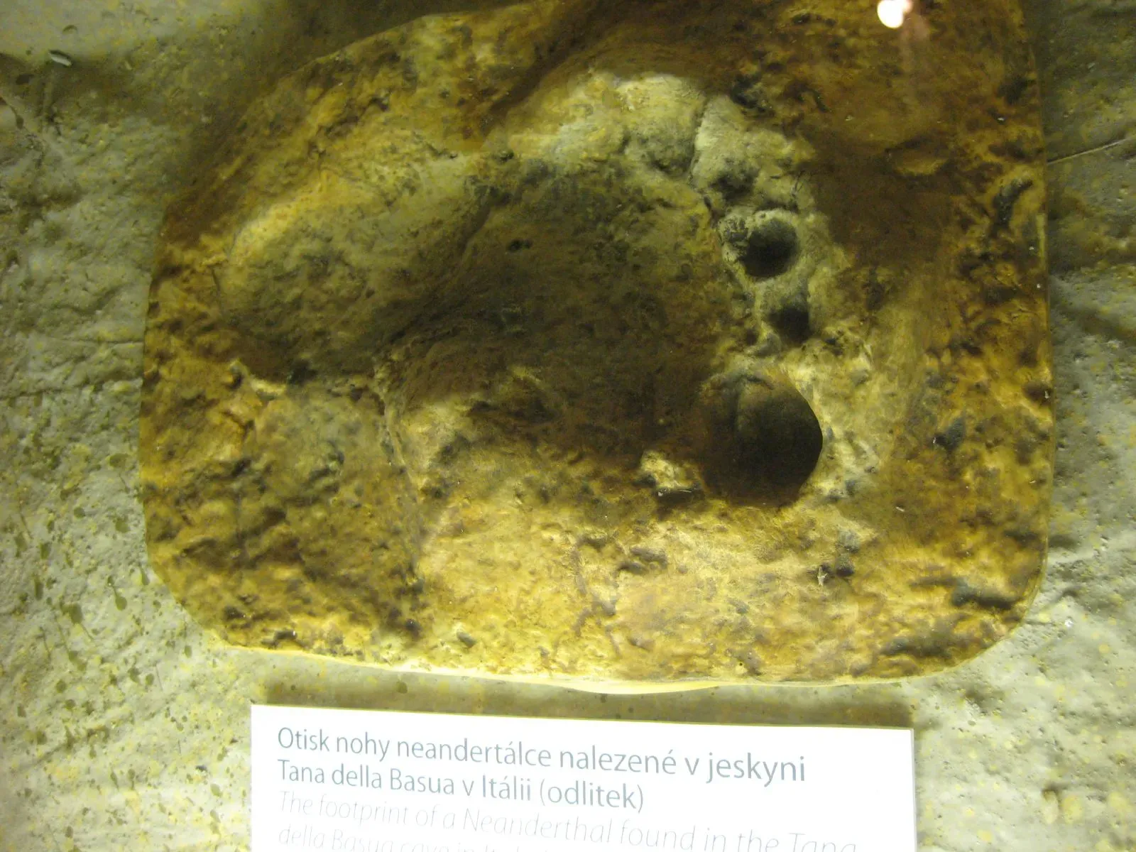 #1 Delicate Human Footprints and Tracks (Neanderthal Foot PrintUploaded by FunkMonk, CC BY-SA 2.0)