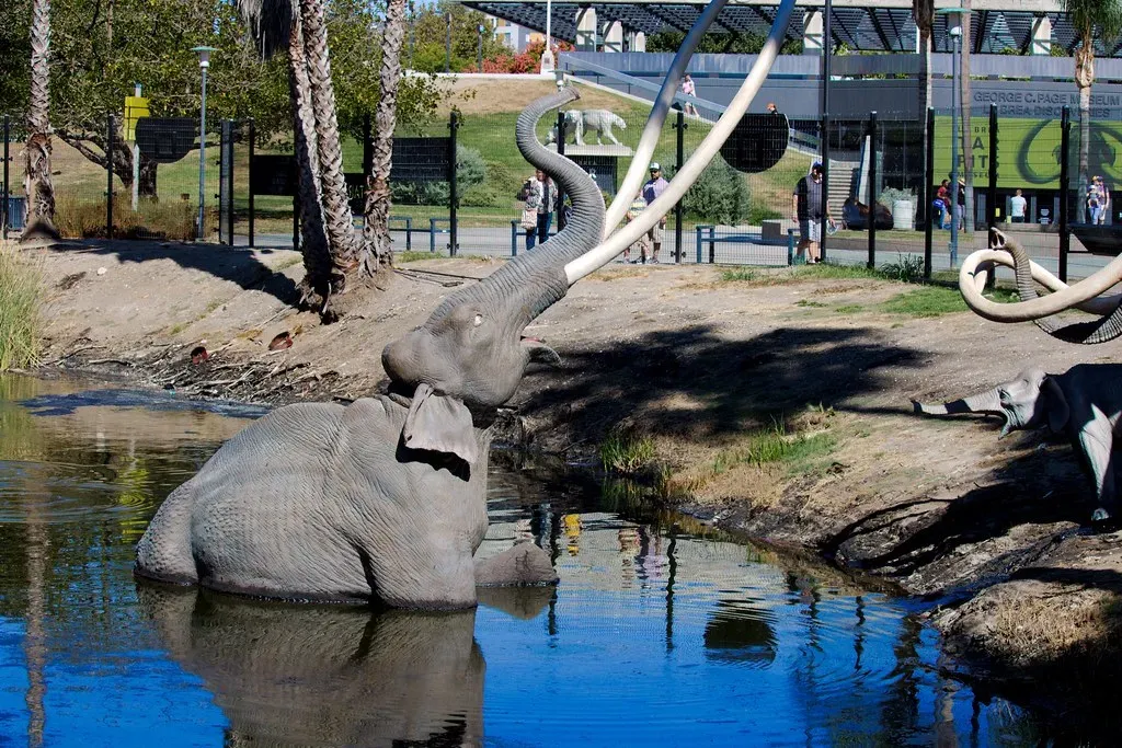 La Brea Tar Pits, Los Angeles, California (L. Allen Brewer, Flickr, CC BY 2.0)
