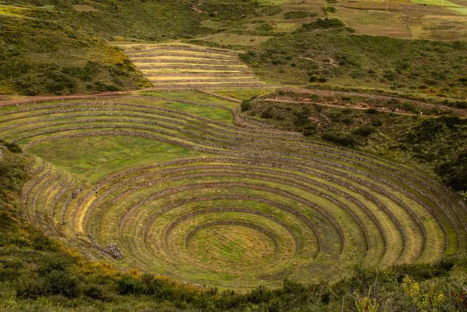 5. What if agriculture had started in completely different places? (Image Credits: Pexels)