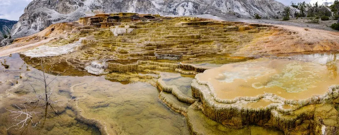 Yellowstone National Park, Wyoming: The Volcanic Vault of Ancient Life (Image Credits: Unsplash)