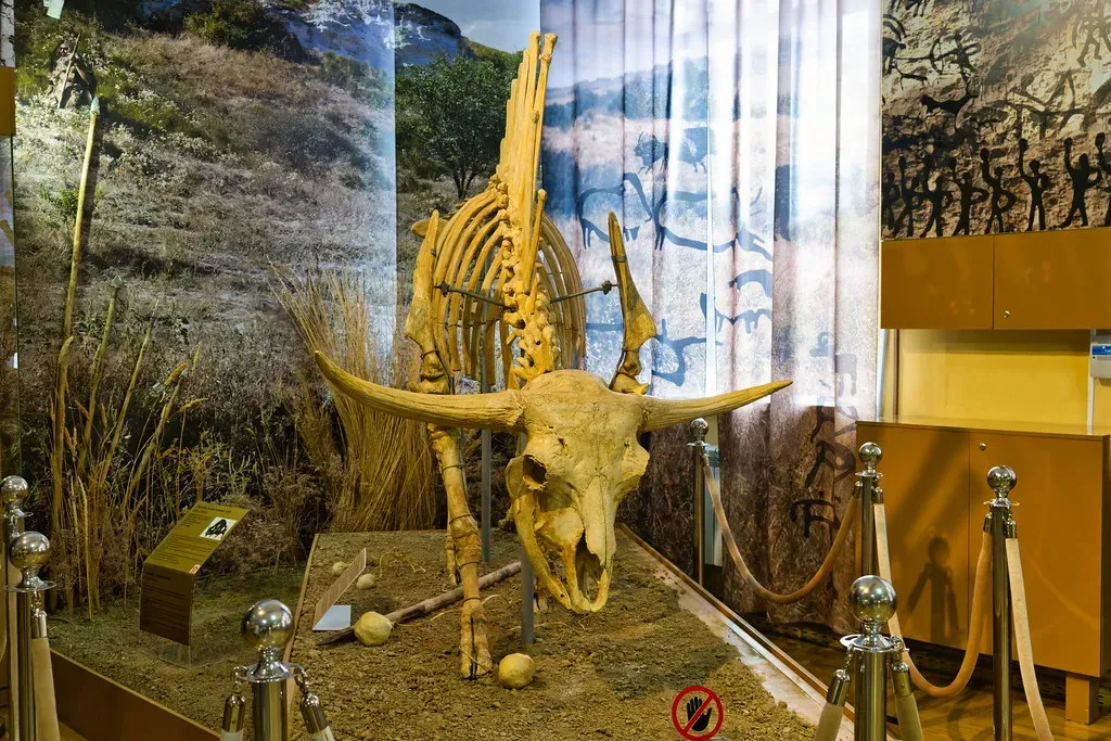 Steppe Bison – Powerhouse of Prehistoric Grasslands (Alexxx1979, Flickr, CC BY-SA 2.0)