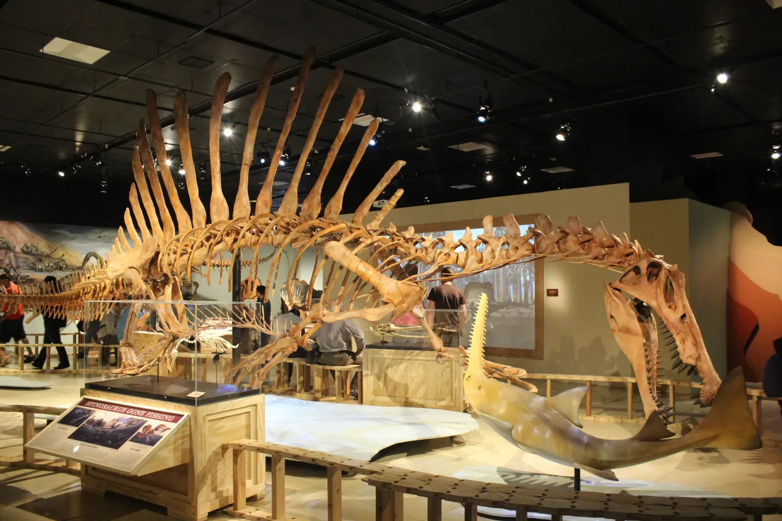 A Discovery Cursed by War: The Turbulent History of Spinosaurus (By Ryan Somma, CC BY 2.0)