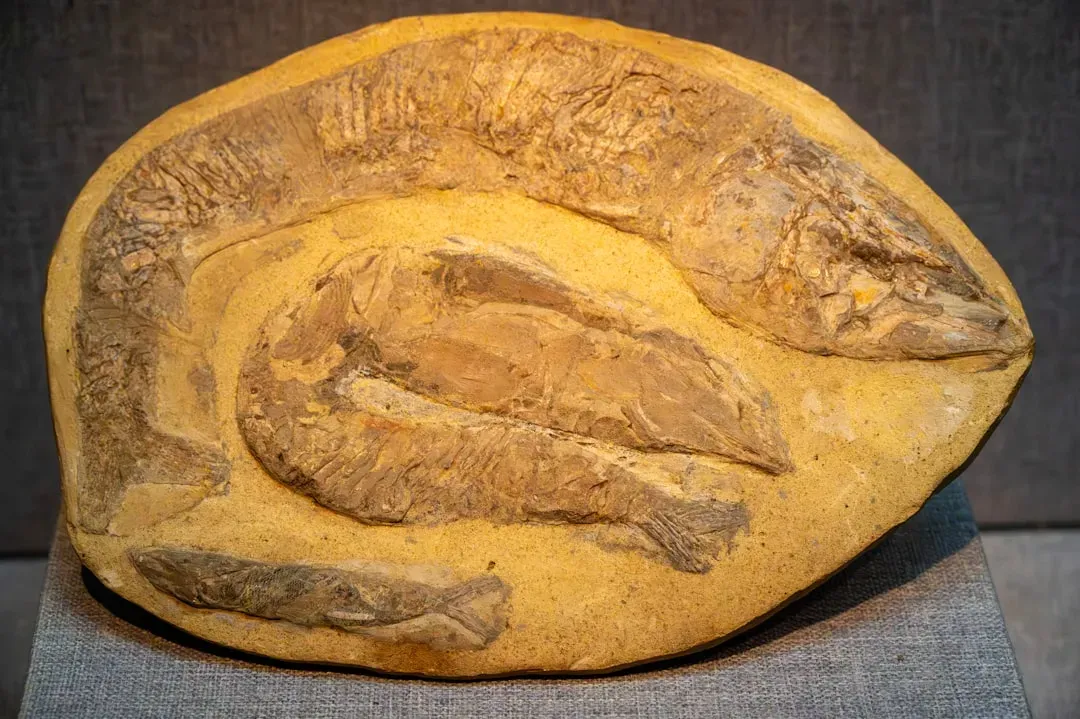 Conclusion (Image Credits: Unsplash)