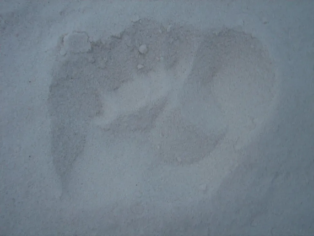 White Sands: The Footprints That Rewrote Human History (quinn.anya, Flickr, CC BY-SA 2.0)