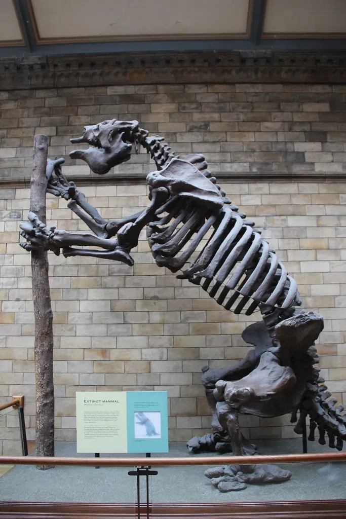 Built to Browse: How They Lived, Moved, and Ate (Image Credits: Flickr)
