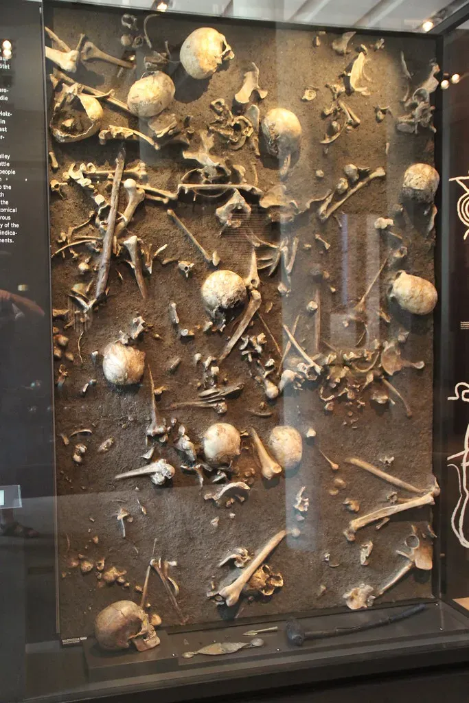 Conclusion: A Brutal Reminder That Our Past Is Bigger Than Our Stories (Image Credits: Flickr)