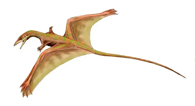 2. Sharovipteryx: The Reptile That Put Its Wings On The Wrong End (By Nobu Tamura (http://spinops.blogspot.com), CC BY 3.0)