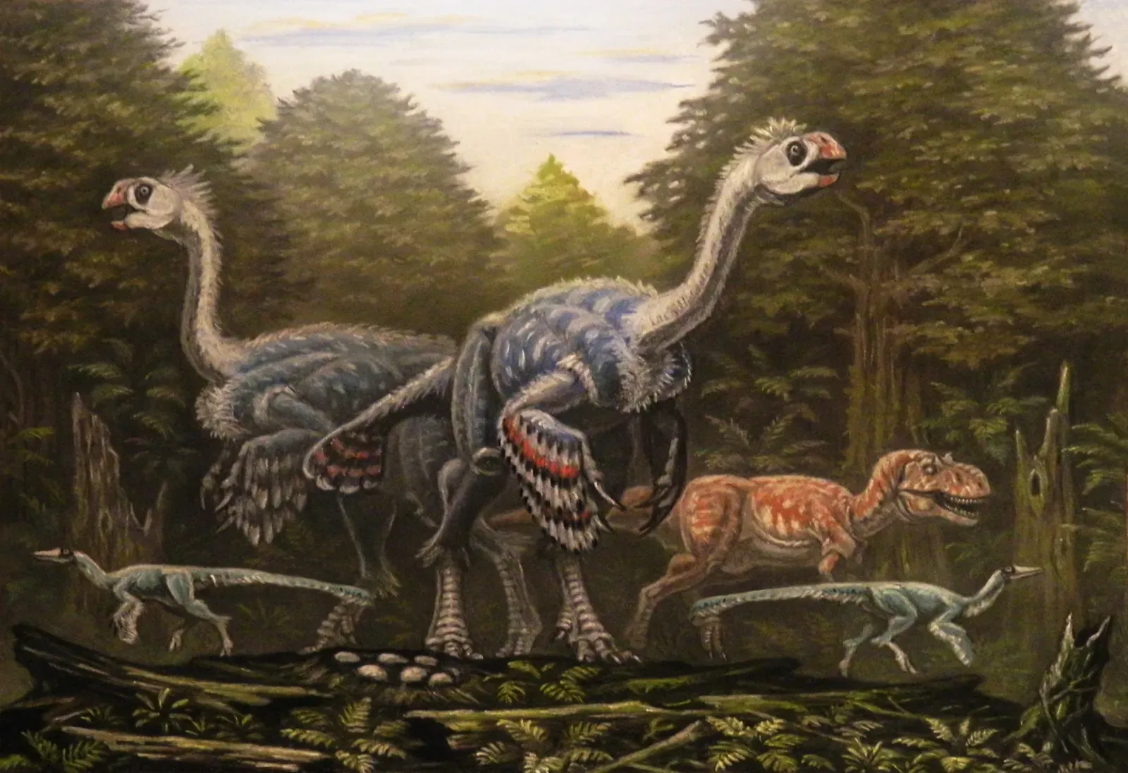Gigantoraptor: The Giant That Broke the Rules (Gigantoraptor, Alectrosaurus, CC BY 3.0)