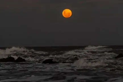 #6 - The Moon Secretly Controlled the Ocean Tides (Image Credits: Pexels)