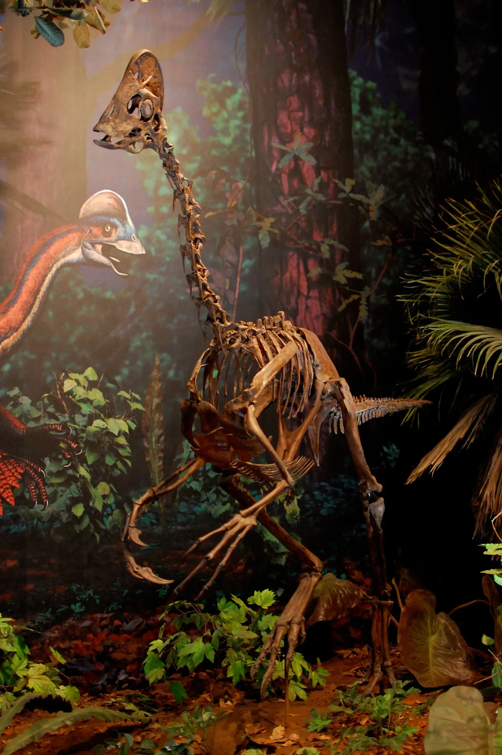 The "Chicken From Hell" and North America's Feathered Giants ([1]Uploaded by FunkMonk, CC BY 2.0)