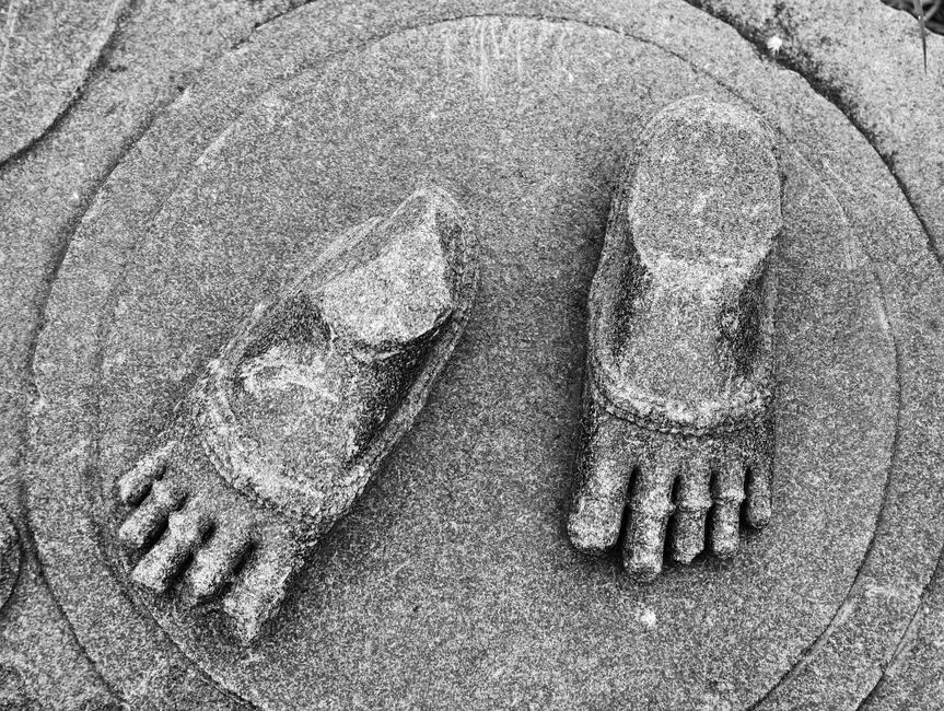 How this discovery reshapes the story of humans in the Americas (Image Credits: Pexels)