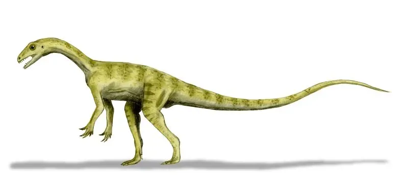 4. Thecodontosaurus - The Socket-Toothed Survivor of England (Image Credits: Wikimedia)
