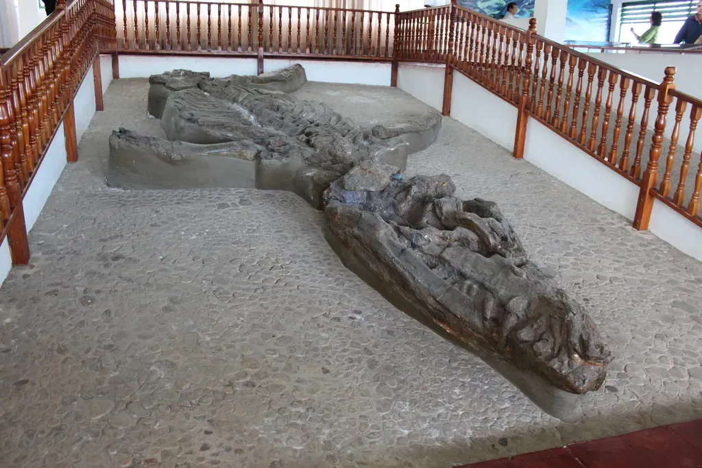 Kronosaurus Had a Bite Stronger Than Tyrannosaurus Rex (Fossilised DinosaurUploaded by FunkMonk, CC BY-SA 2.0)
