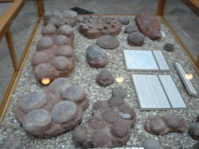 6. Soft Dinosaur Eggs Shatter Assumptions About Reproduction (TEDizen, Flickr, CC BY 2.0)