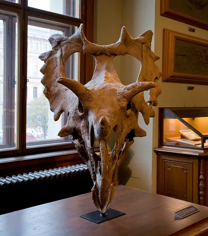 The Nuclear Physicist Who Found a New Species in His Own Backyard (Image Credits: Wikimedia)