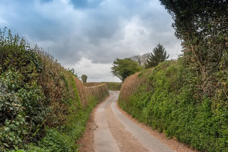 #3 - A Genetic Superhighway Hiding in Plain Sight (Image Credits: Pexels)