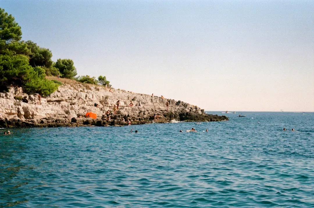 Life in an Ancient Seaway (Image Credits: Unsplash)