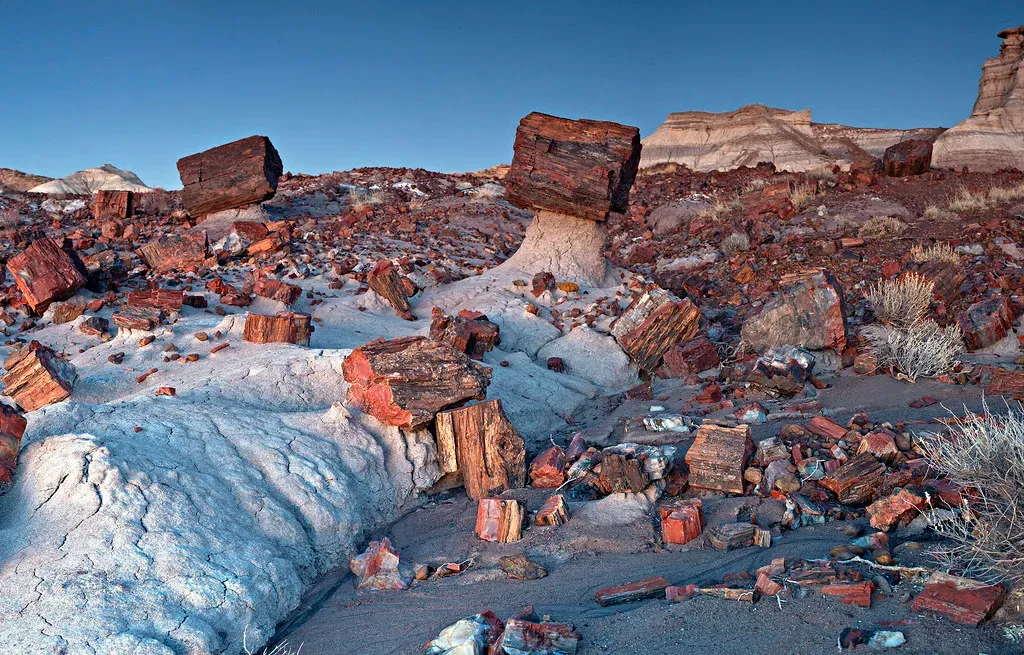 Petrified Forest National Park: When Arizona Was a Jungle (Image Credits: Flickr)