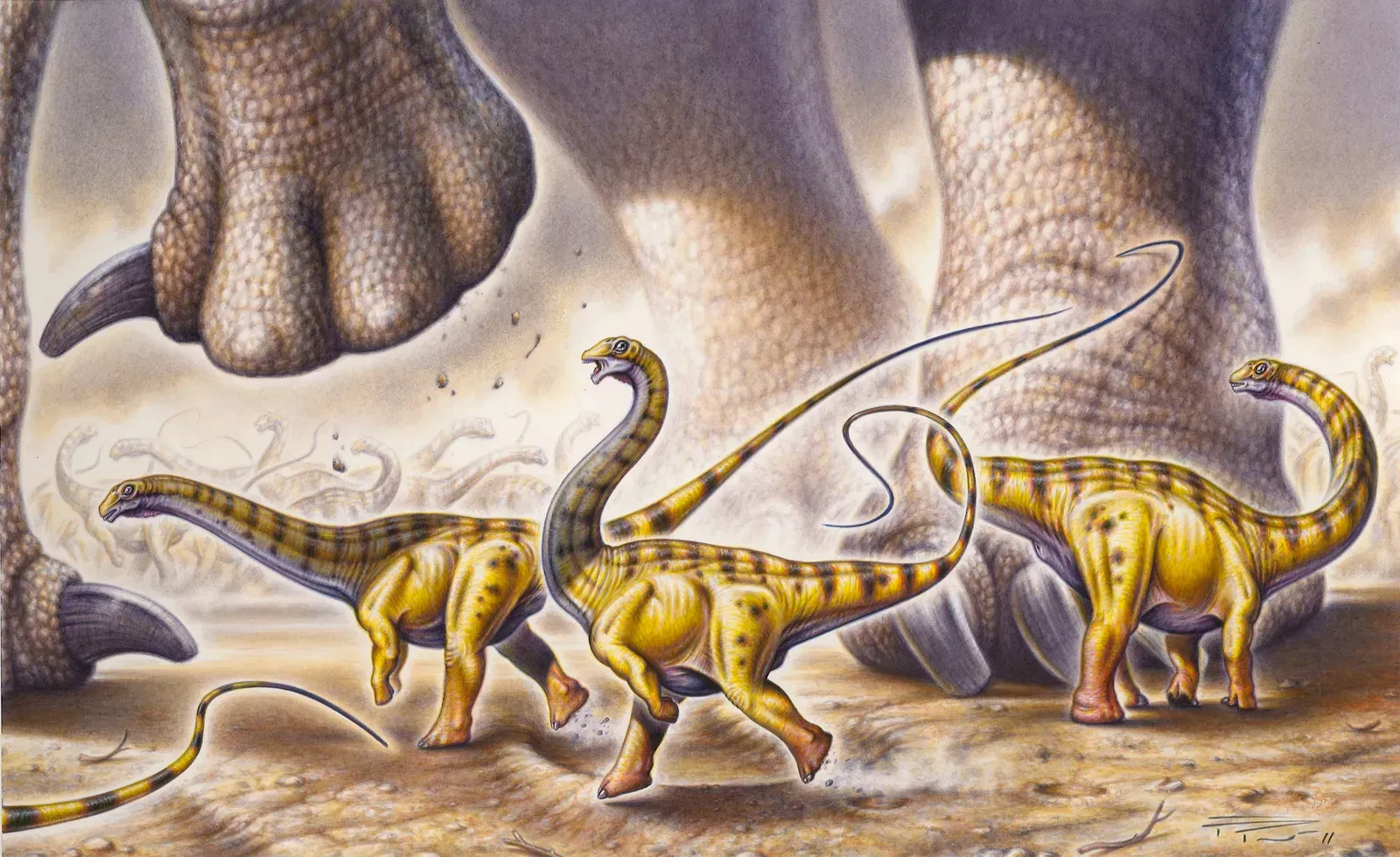 Baby Dinosaurs and the Food Chain: A Surprisingly Vulnerable Beginning (Image Credits: Wikimedia)