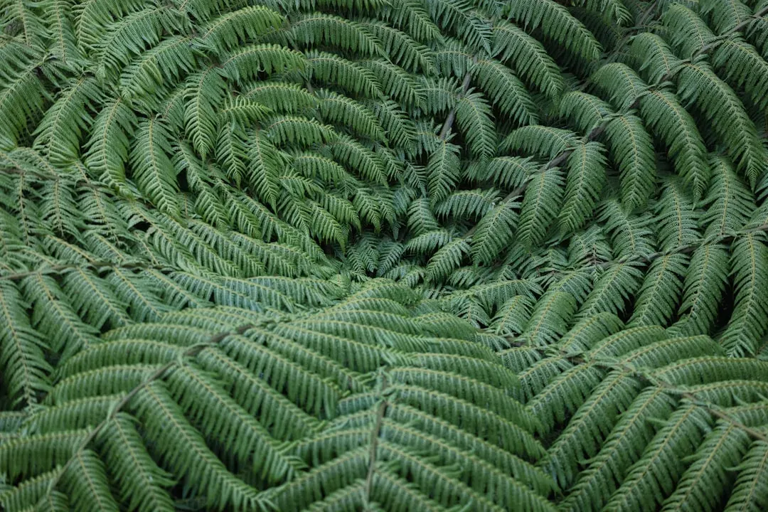 Ferns and Pteridophytes: The Ground-Level Food Source (Image Credits: Unsplash)