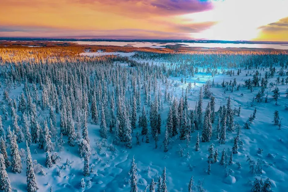 What the Ancient Arctic Really Looked Like (Image Credits: Pexels)