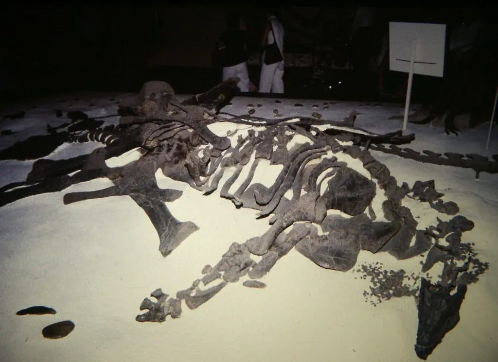 A Discovery Near the Town of Dinosaur (Image Credits: Flickr)