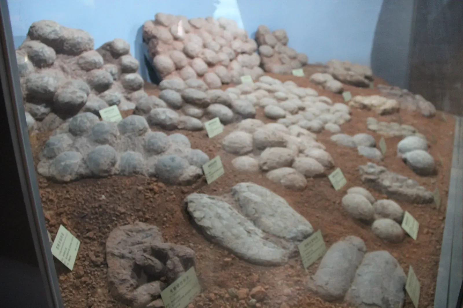 Tiny Clues in Unexpected Rocks: Teeth, Eggs, and Trace Fossils (By Gary Todd, CC0)