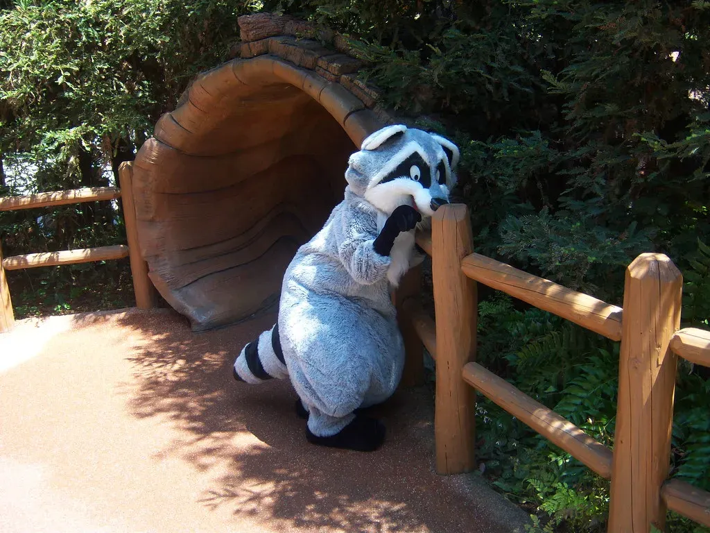 Gemini: Meeko from Pocahontas (Image Credits: Flickr)