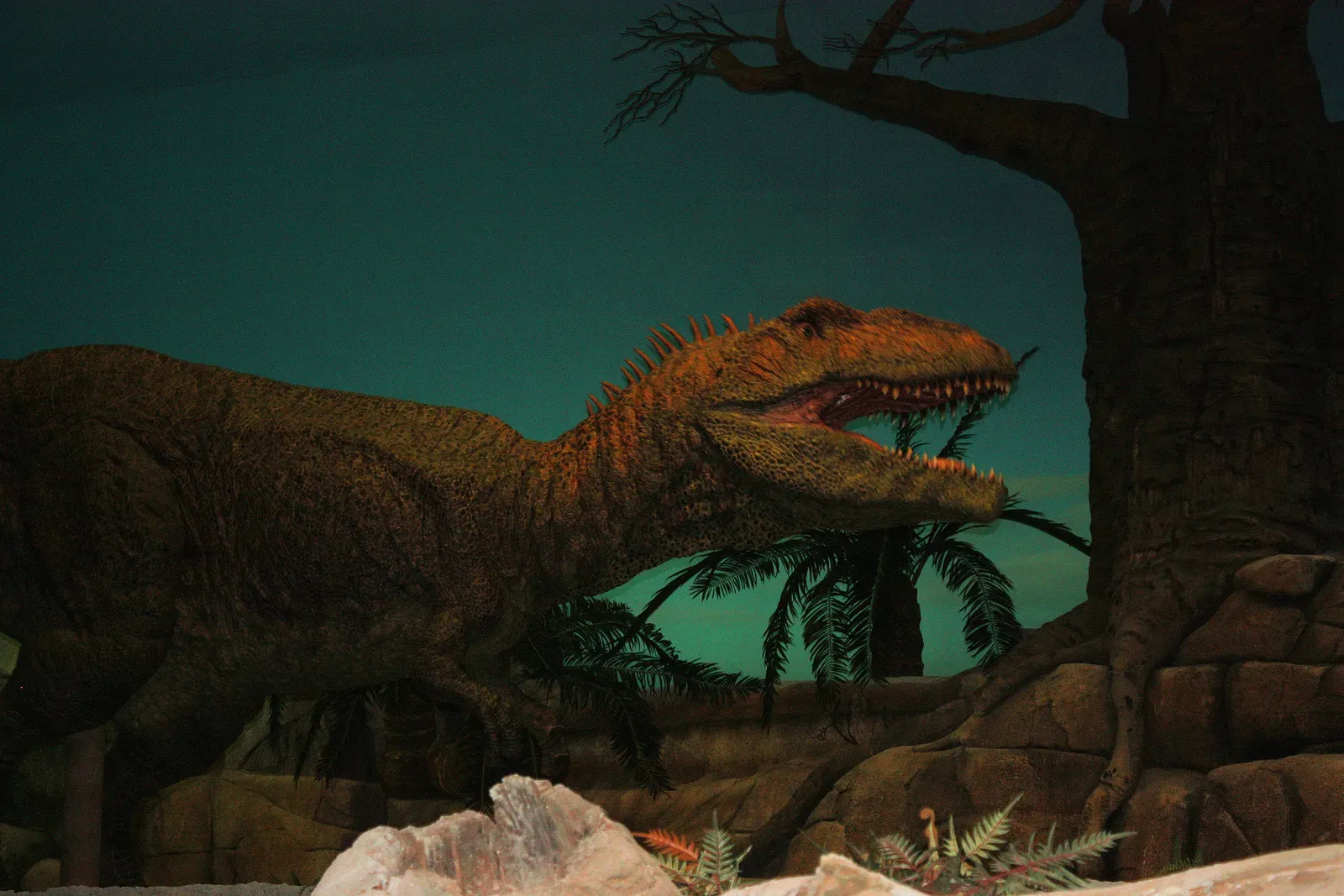 Environmental Adaptations and Prey (Image Credits: Wikimedia)