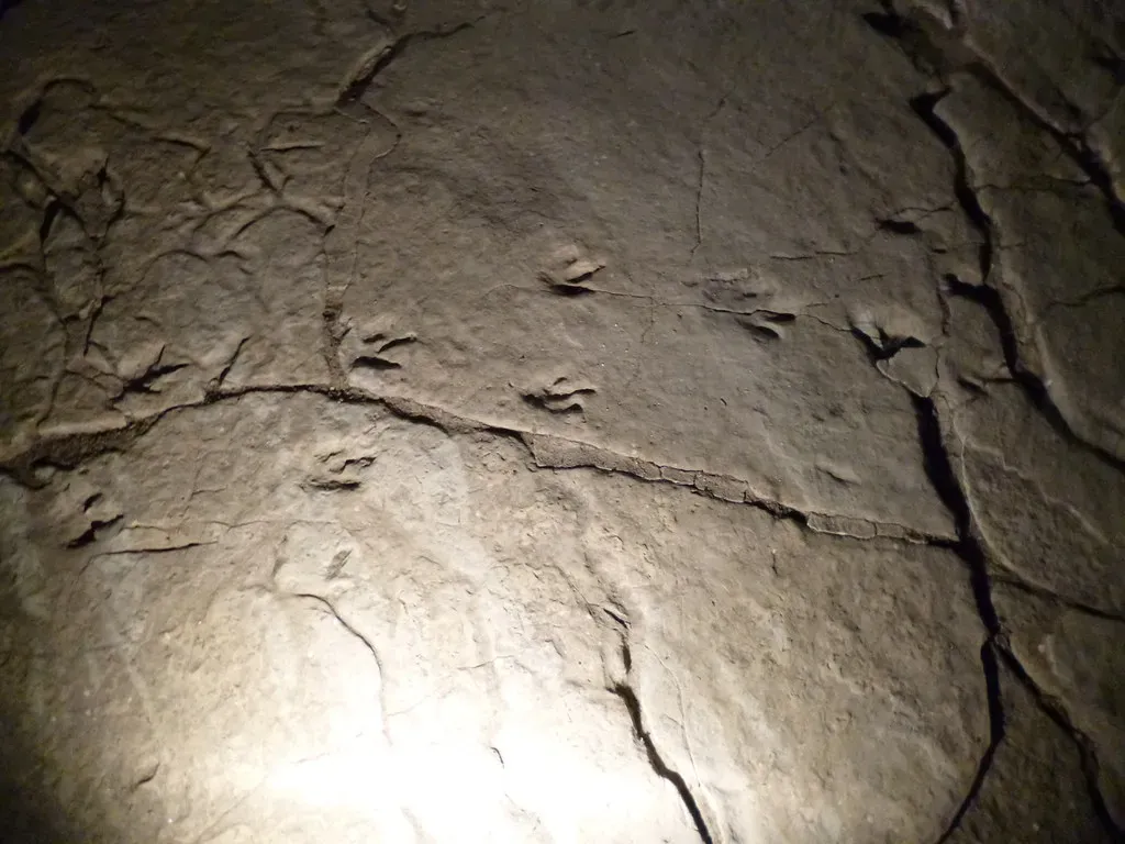 Cave Roofs and Overturned Beds: Upside-Down Footprints That Trick Your Brain (hoyasmeg, Flickr, CC BY 2.0)