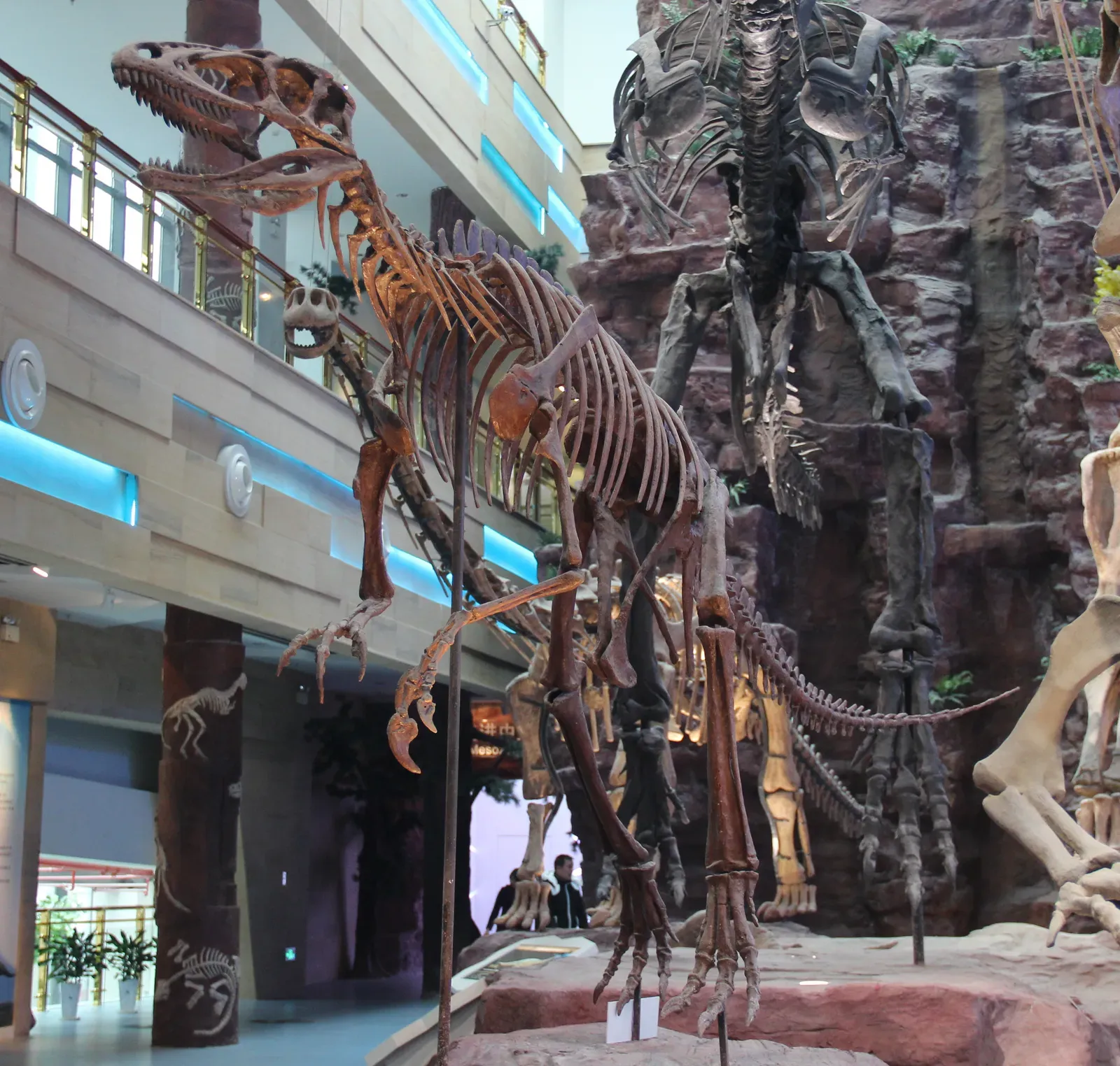 The Deep Time of Dinosaurs: Our Tiny Lives on a Planet With a Billion-Year Memory (By Gary Todd, CC0)
