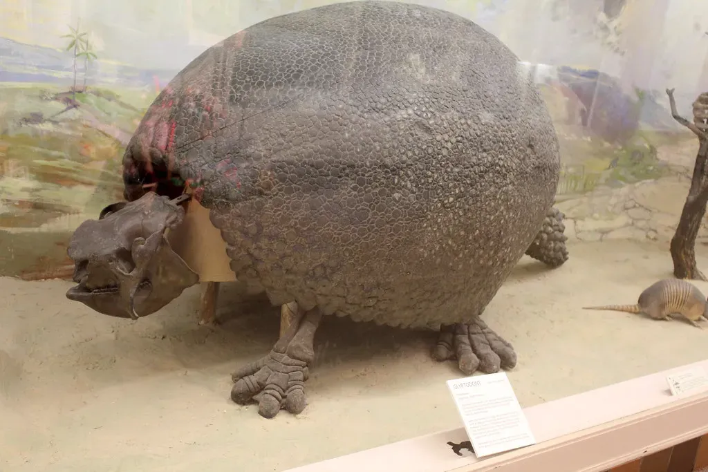 Armored Tanks: The Bizarre Glyptodont (Image Credits: Flickr)