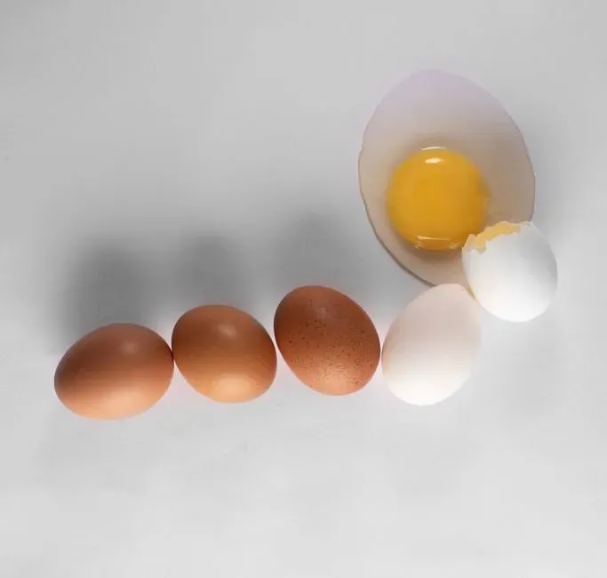 #10: Egg Microbiomes Challenge the “Sterile Egg” Assumption (Image Credits: Pexels)