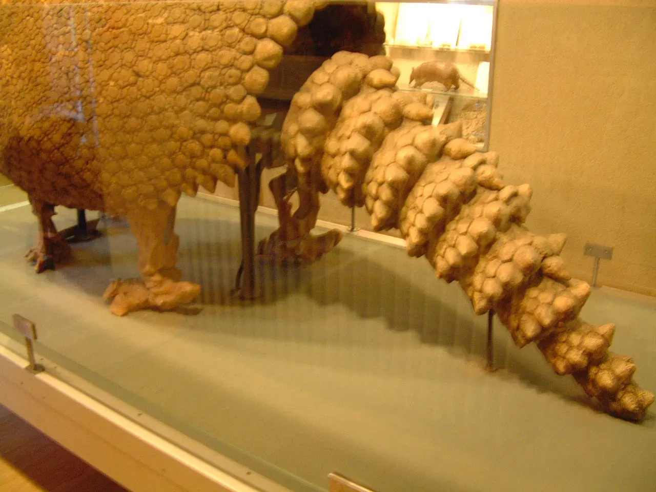 #13 - Glyptodon Wasn't Just a "Giant Armadillo" (Public domain)