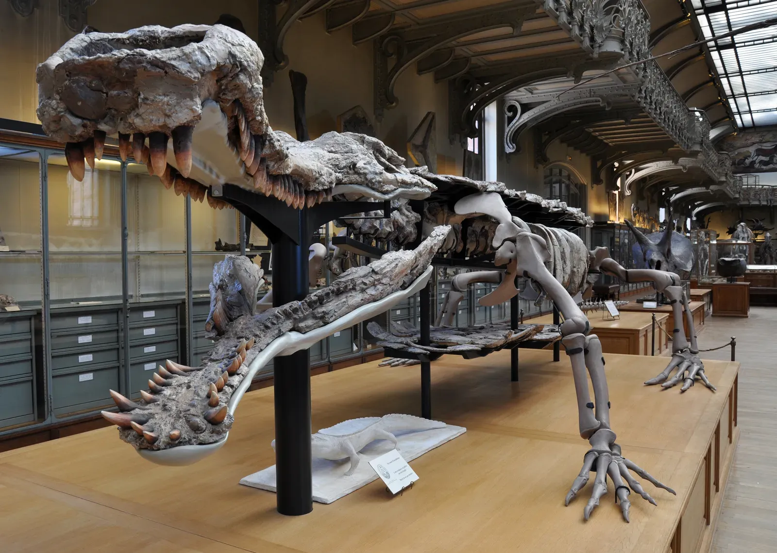 The Super Croc That Stared Down Dinosaurs (By Vassil, CC0)