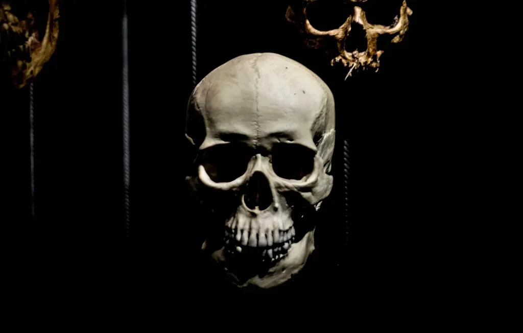 #12 - The Skull Under Jacksonville's Town Center (Image Credits: Rawpixel)