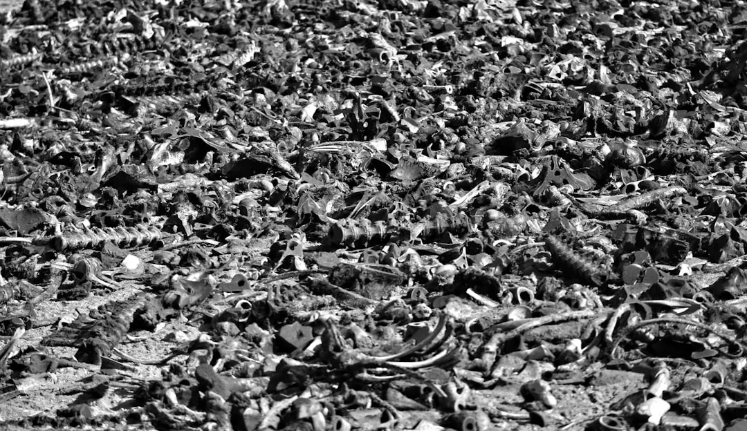 Evidence of a large, organized army in a place we did not expect one (Image Credits: Unsplash)