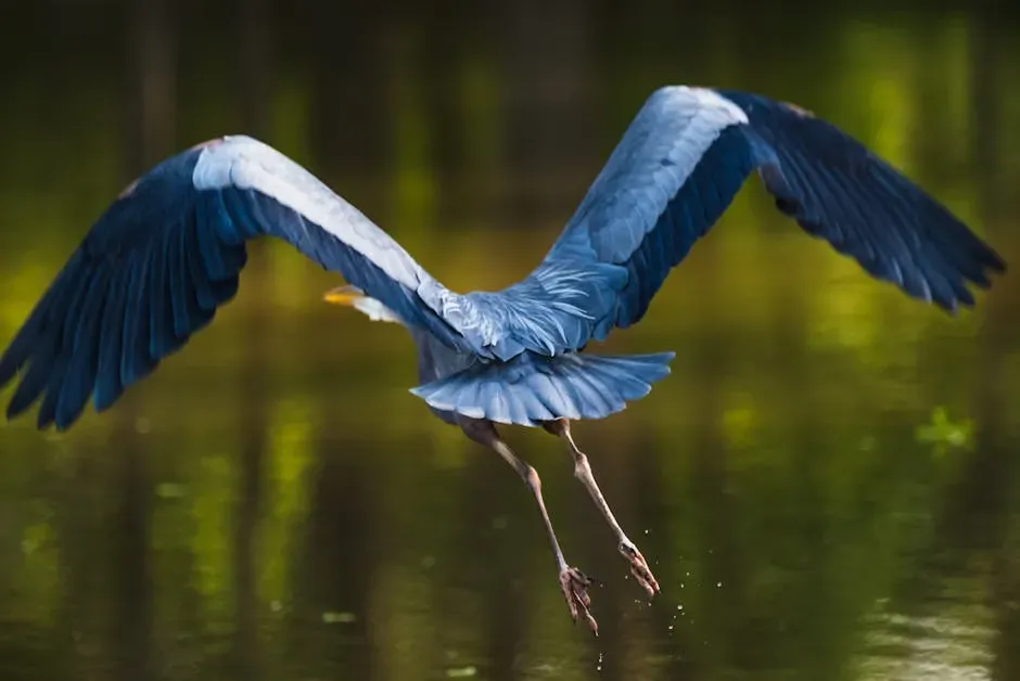 Conclusion – Listening to the Wings Behind Your Horoscope (Image Credits: Pexels)